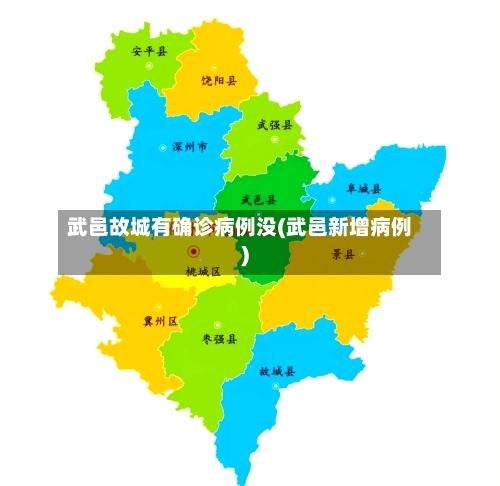 武邑故城有确诊病例没(武邑新增病例)