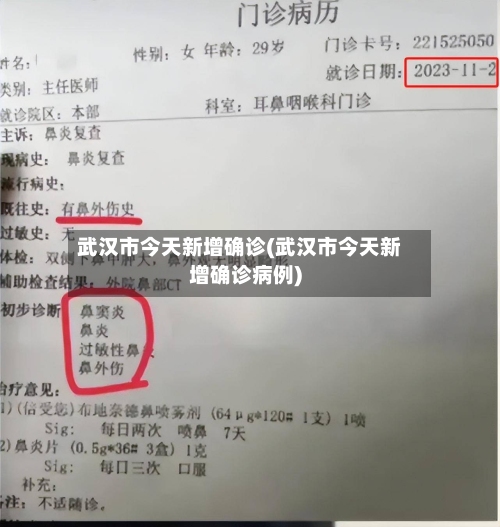 武汉市今天新增确诊(武汉市今天新增确诊病例)-第2张图片