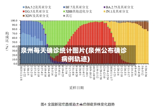 泉州每天确诊统计图片(泉州公布确诊病例轨迹)-第2张图片