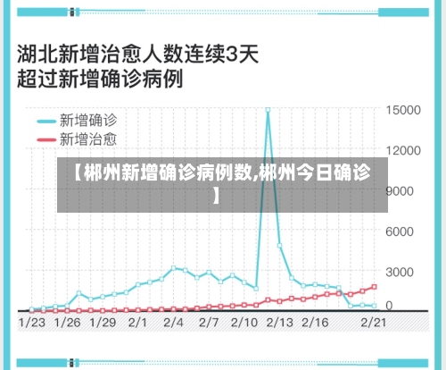 【郴州新增确诊病例数,郴州今日确诊】-第2张图片