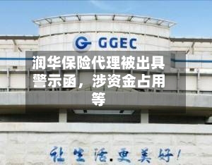 润华保险代理被出具警示函	，涉资金占用等-第3张图片
