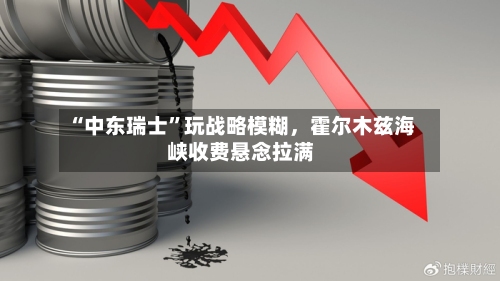 “中东瑞士”玩战略模糊，霍尔木兹海峡收费悬念拉满-第2张图片
