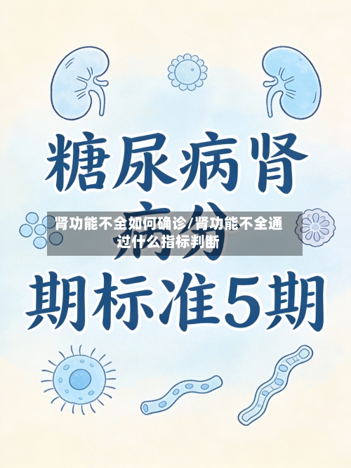 肾功能不全如何确诊/肾功能不全通过什么指标判断