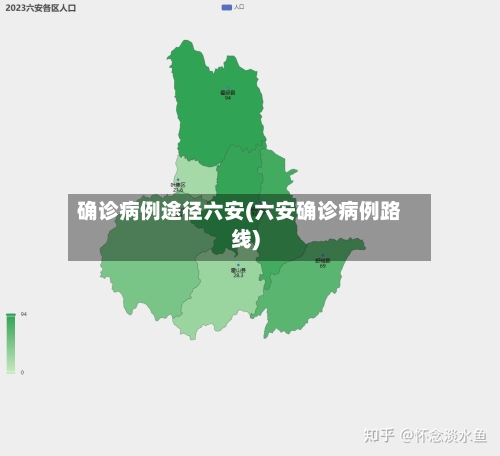 确诊病例途径六安(六安确诊病例路线)