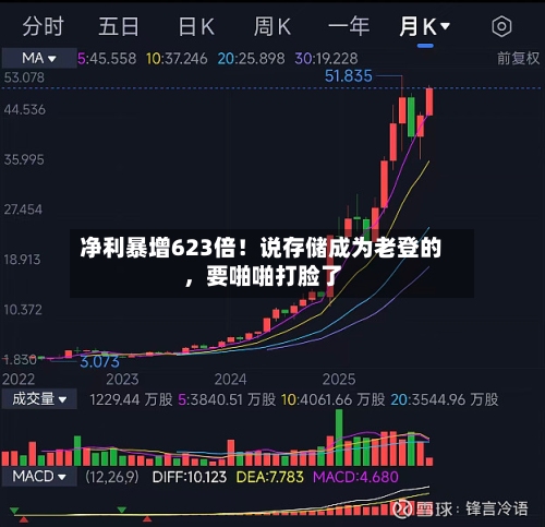 净利暴增623倍！说存储成为老登的	，要啪啪打脸了-第1张图片