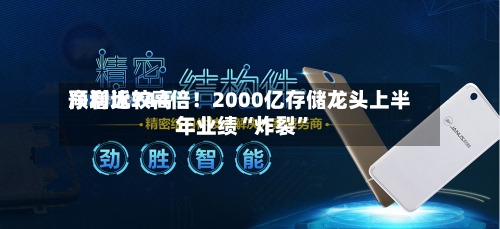 净利比较高预增近744倍！2000亿存储龙头上半年业绩“炸裂”-第2张图片
