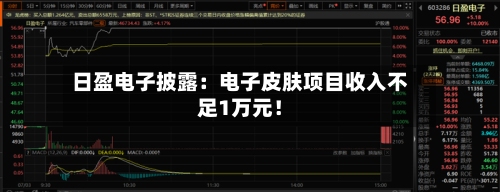 日盈电子披露：电子皮肤项目收入不足1万元！-第3张图片
