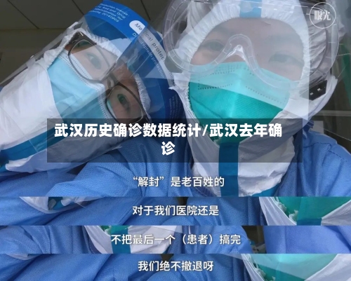 武汉历史确诊数据统计/武汉去年确诊