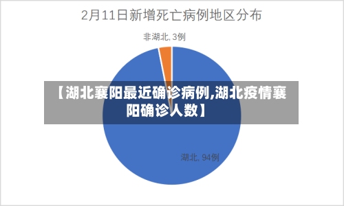 【湖北襄阳最近确诊病例,湖北疫情襄阳确诊人数】-第2张图片