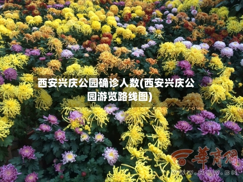 西安兴庆公园确诊人数(西安兴庆公园游览路线图)-第2张图片