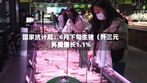 国家统计局：6月下旬生猪（外三元）费用环比增长1.1%-第3张图片