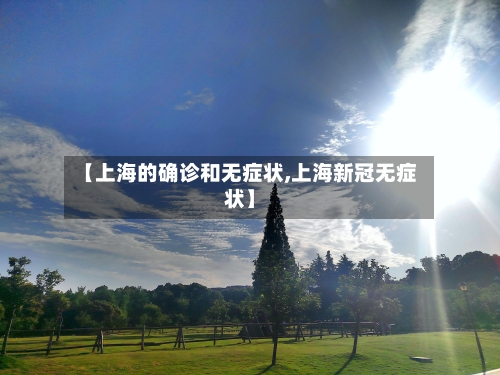 【上海的确诊和无症状,上海新冠无症状】