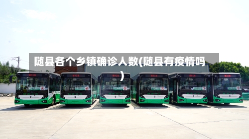 随县各个乡镇确诊人数(随县有疫情吗)