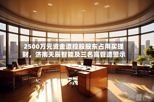 2500万元资金遭控股股东占用买理财，济南天辰智能及三名高管遭警示-第2张图片