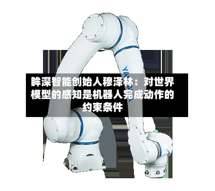 眸深智能创始人穆泽林：对世界模型的感知是机器人完成动作的约束条件