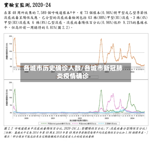 各城市历史确诊人数/各城市新冠肺炎疫情确诊