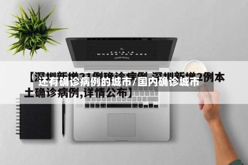还有确诊病例的城市/国内确诊城市