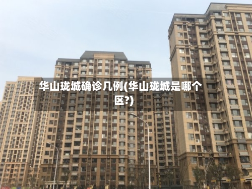 华山珑城确诊几例(华山珑城是哪个区?)-第2张图片