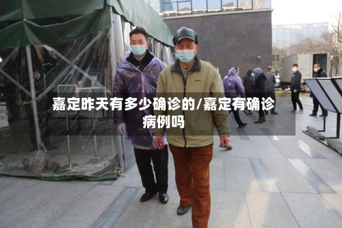 嘉定昨天有多少确诊的/嘉定有确诊病例吗-第2张图片