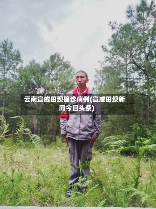 云南宣威田坝确诊病例(宣威田坝新闻今日头条)