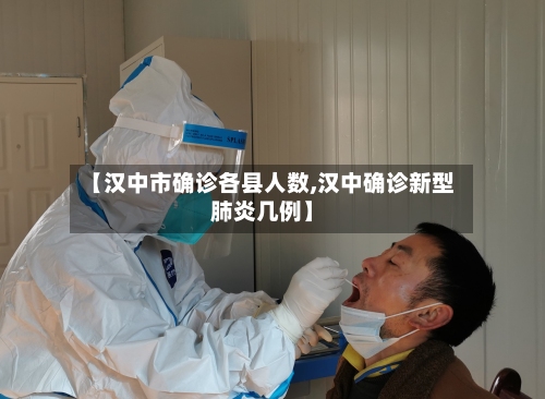 【汉中市确诊各县人数,汉中确诊新型肺炎几例】-第2张图片