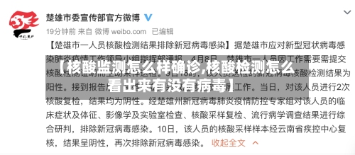 【核酸监测怎么样确诊,核酸检测怎么看出来有没有病毒】-第3张图片
