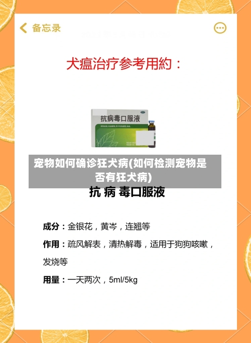 宠物如何确诊狂犬病(如何检测宠物是否有狂犬病)-第2张图片