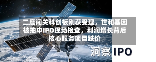 二度闯关科创板刚获受理	，世和基因被抽中IPO现场检查，利润增长背后核心服务项目跌价-第2张图片