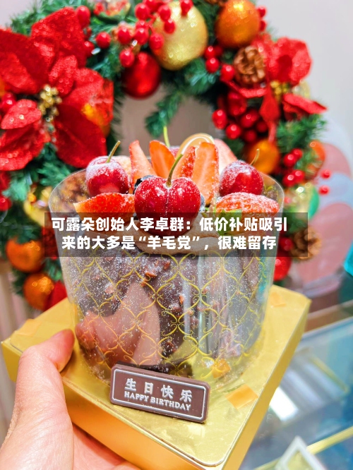 可露朵创始人李卓群：低价补贴吸引来的大多是“羊毛党”，很难留存