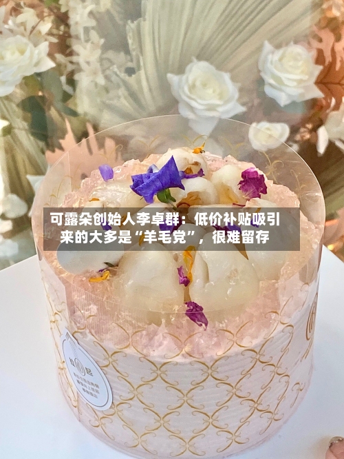 可露朵创始人李卓群：低价补贴吸引来的大多是“羊毛党”，很难留存-第2张图片