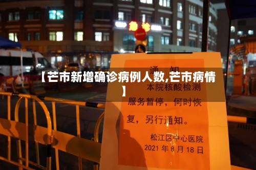 【芒市新增确诊病例人数,芒市病情】-第3张图片