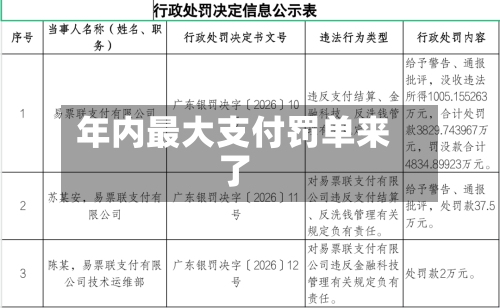 年内最大支付罚单来了