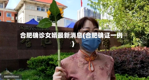 合肥确诊女婿最新消息(合肥确证一例)-第3张图片