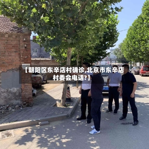 【朝阳区东辛店村确诊,北京市东辛店村委会电话?】-第3张图片