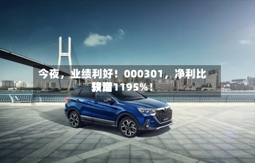 今夜，业绩利好！000301	，净利比较高预增1195%！-第2张图片