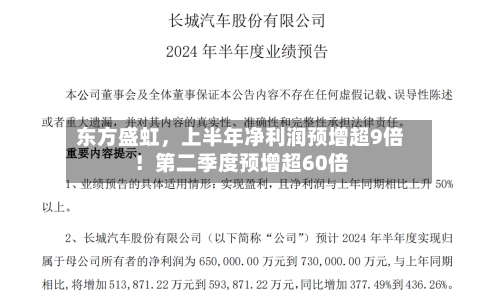 东方盛虹	，上半年净利润预增超9倍！第二季度预增超60倍-第1张图片