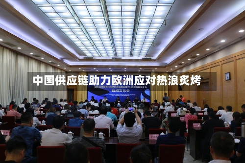 中国供应链助力欧洲应对热浪炙烤-第2张图片