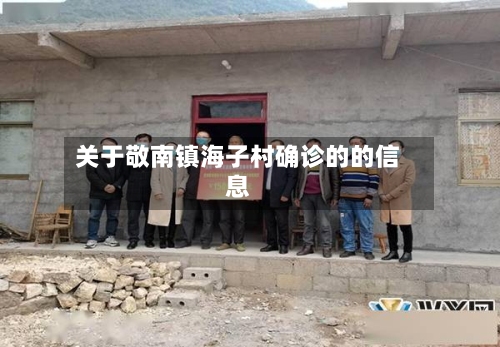 关于敬南镇海子村确诊的的信息-第2张图片