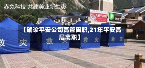 【确诊平安公司高管离职,21年平安高层离职】-第2张图片