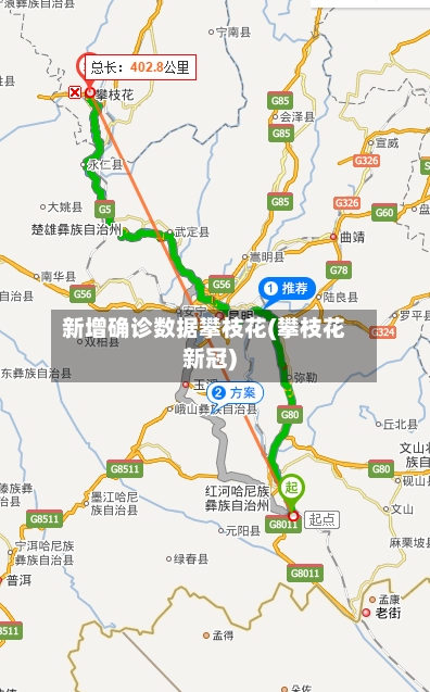新增确诊数据攀枝花(攀枝花新冠)-第3张图片