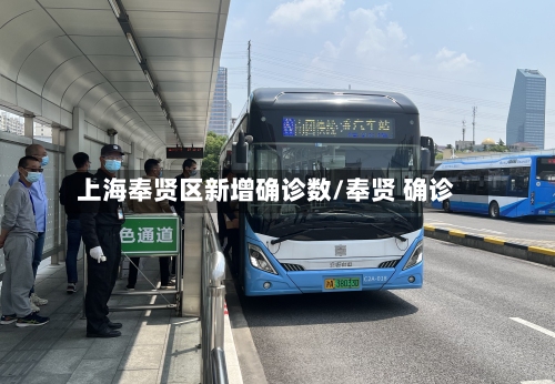 上海奉贤区新增确诊数/奉贤 确诊