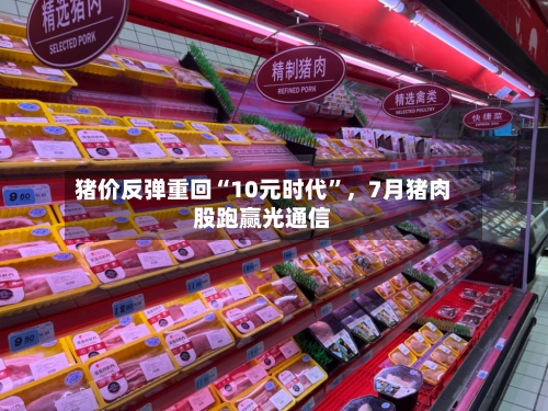 猪价反弹重回“10元时代”，7月猪肉股跑赢光通信-第2张图片