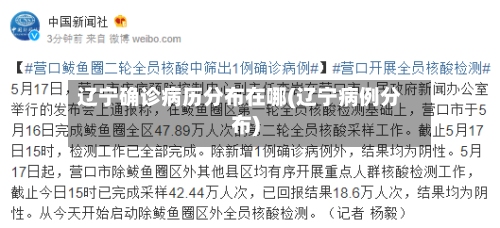 辽宁确诊病历分布在哪(辽宁病例分布)-第2张图片