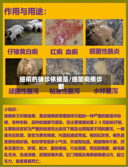 细痢的确诊依据是/细菌痢疾诊断
