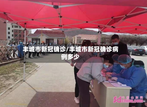 丰城市新冠确诊/丰城市新冠确诊病例多少-第2张图片
