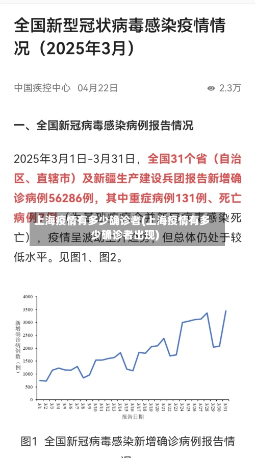 上海疫情有多少确诊者(上海疫情有多少确诊者出现)