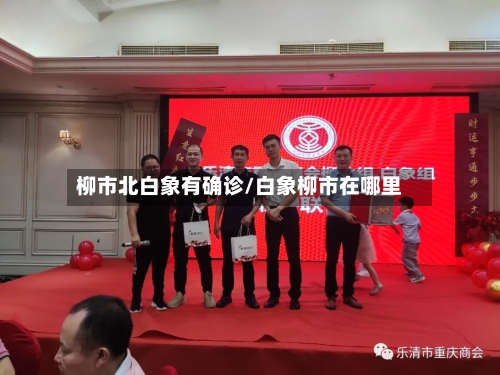 柳市北白象有确诊/白象柳市在哪里-第2张图片