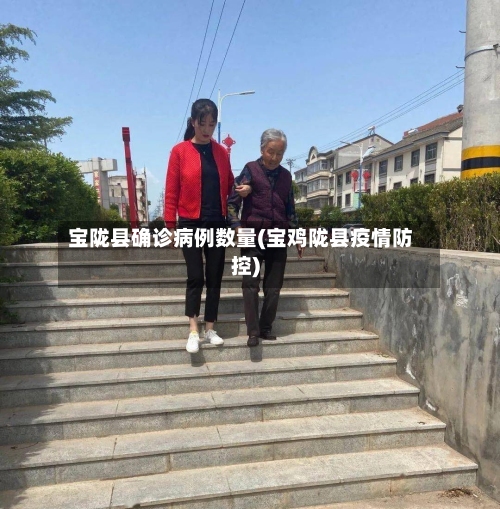 宝陇县确诊病例数量(宝鸡陇县疫情防控)-第3张图片