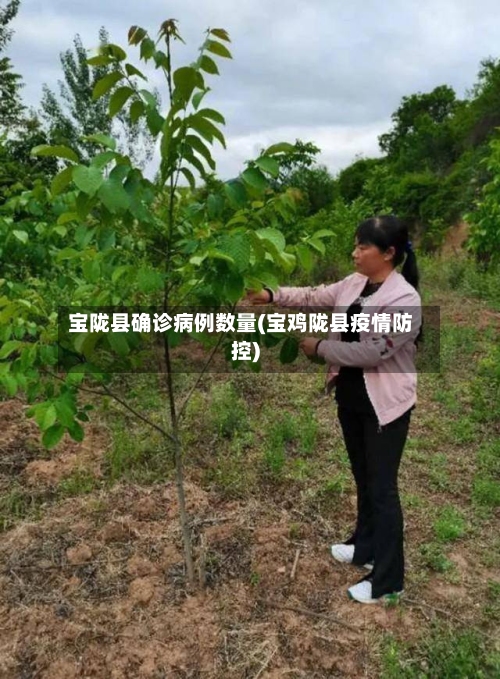 宝陇县确诊病例数量(宝鸡陇县疫情防控)