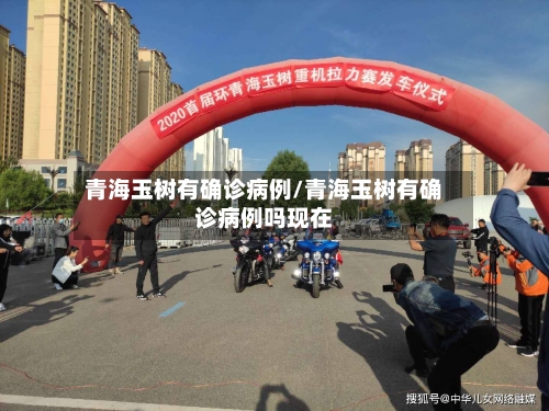 青海玉树有确诊病例/青海玉树有确诊病例吗现在-第2张图片